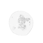 Balancing & Clarifying Serum