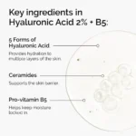 Hyaluronic Acid 2% + B5 (with Ceramides) - Image 3