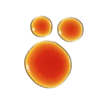 Pycnogenol 5%